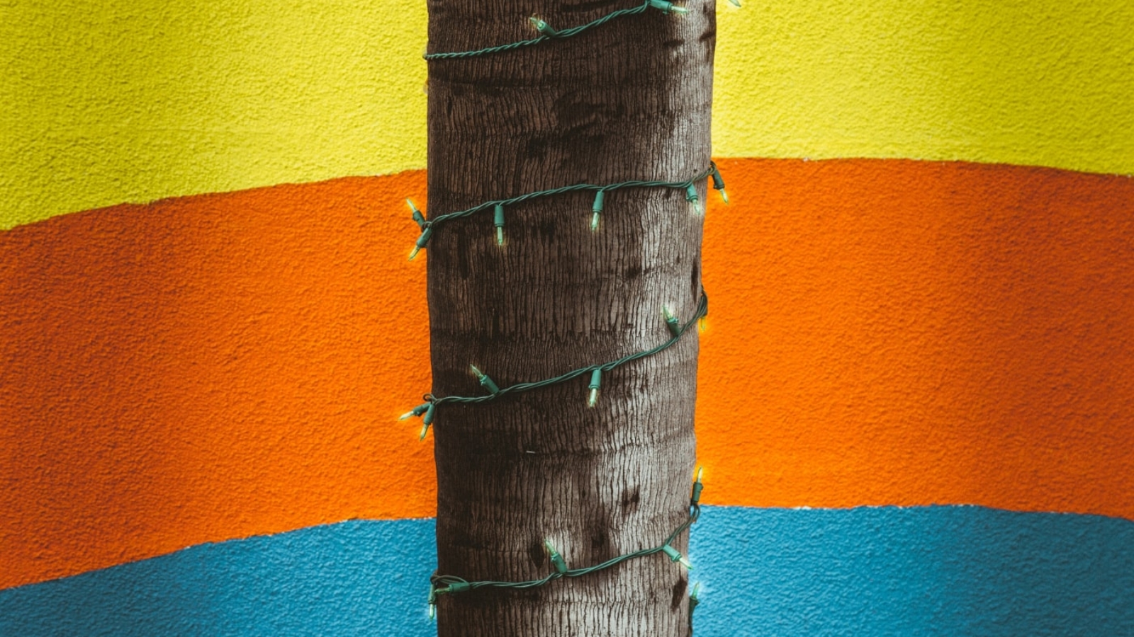 course_thumb_8